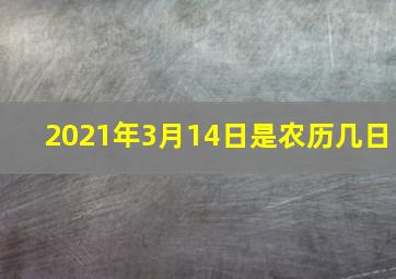 2021年3月14日是农历几日