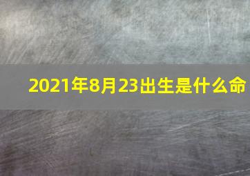 2021年8月23出生是什么命