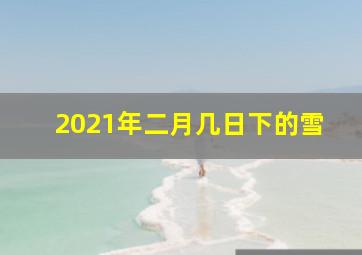 2021年二月几日下的雪