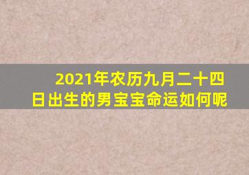 2021年农历九月二十四日出生的男宝宝命运如何呢