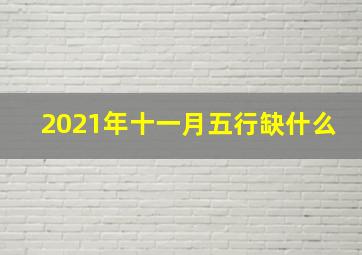 2021年十一月五行缺什么