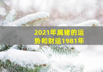 2021年属猪的运势和财运1981年