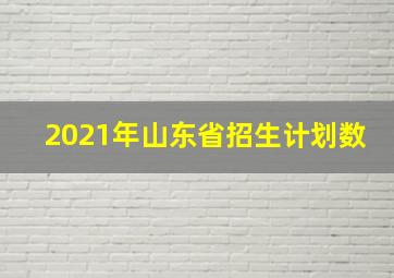 2021年山东省招生计划数