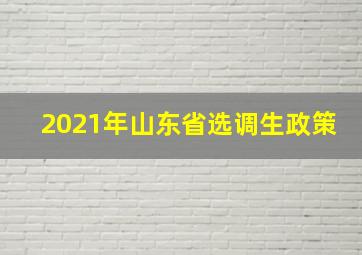 2021年山东省选调生政策