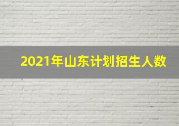 2021年山东计划招生人数