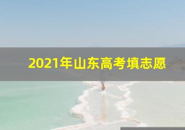 2021年山东高考填志愿