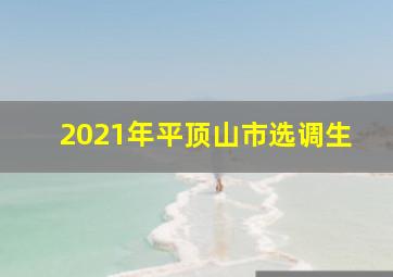 2021年平顶山市选调生