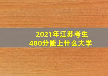 2021年江苏考生480分能上什么大学