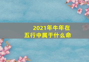 2021年牛年在五行中属于什么命