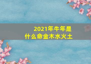 2021年牛年是什么命金木水火土