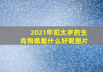 2021年犯太岁的生肖狗佩戴什么好呢图片