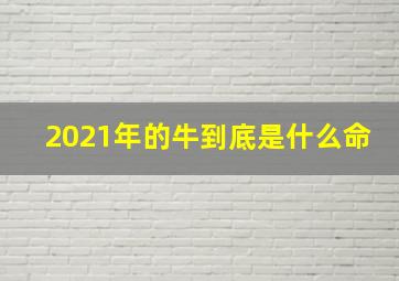 2021年的牛到底是什么命