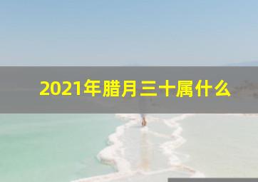 2021年腊月三十属什么