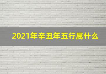 2021年辛丑年五行属什么