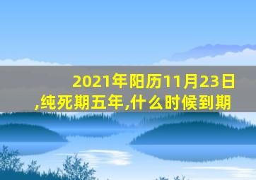 2021年阳历11月23日,纯死期五年,什么时候到期