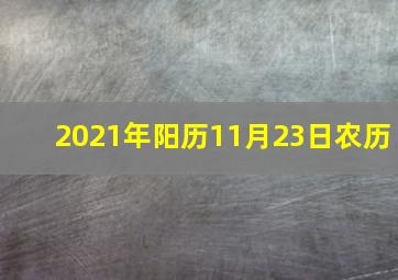 2021年阳历11月23日农历