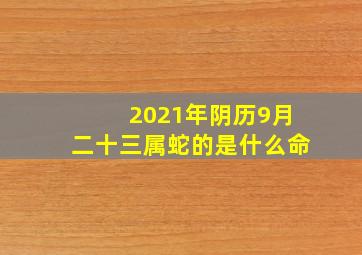 2021年阴历9月二十三属蛇的是什么命