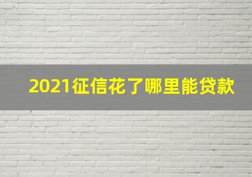 2021征信花了哪里能贷款