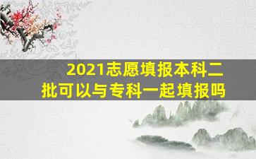 2021志愿填报本科二批可以与专科一起填报吗