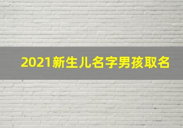 2021新生儿名字男孩取名