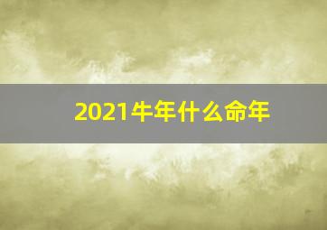 2021牛年什么命年