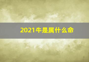 2021牛是属什么命