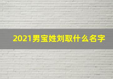 2021男宝姓刘取什么名字