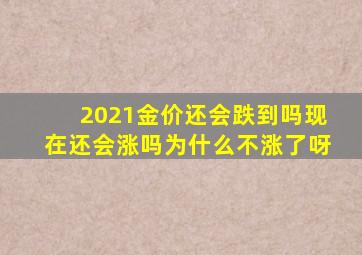 2021金价还会跌到吗现在还会涨吗为什么不涨了呀