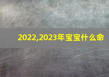 2022,2023年宝宝什么命