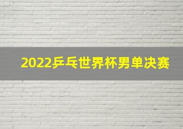 2022乒乓世界杯男单决赛