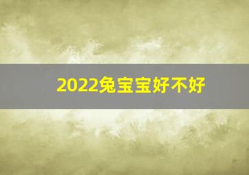 2022兔宝宝好不好