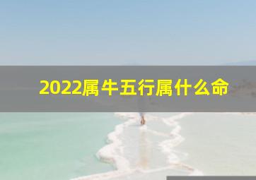 2022属牛五行属什么命