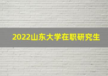 2022山东大学在职研究生