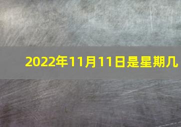 2022年11月11日是星期几