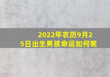 2022年农历9月25日出生男孩命运如何呢