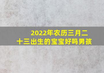 2022年农历三月二十三出生的宝宝好吗男孩