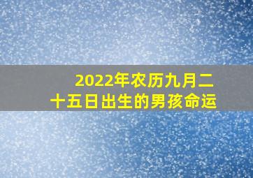 2022年农历九月二十五日出生的男孩命运