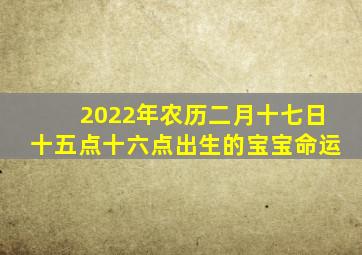 2022年农历二月十七日十五点十六点出生的宝宝命运