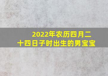 2022年农历四月二十四日子时出生的男宝宝