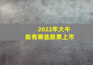 2022年大牛股有哪些股票上市