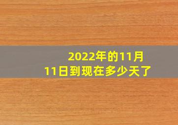 2022年的11月11日到现在多少天了