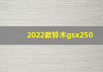 2022款铃木gsx250