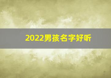 2022男孩名字好听