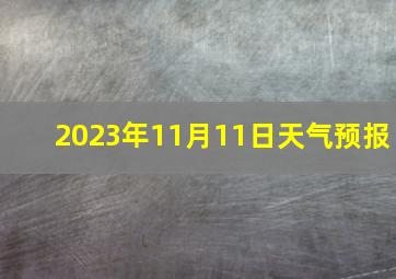 2023年11月11日天气预报