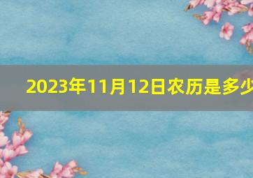 2023年11月12日农历是多少