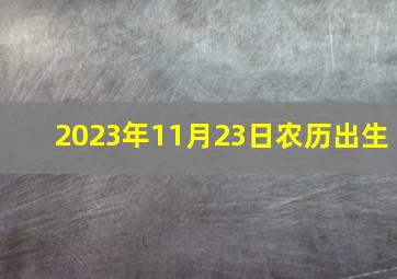 2023年11月23日农历出生