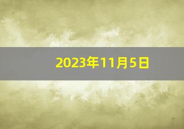 2023年11月5日