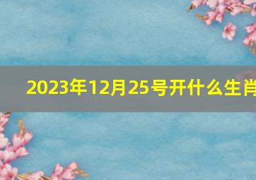 2023年12月25号开什么生肖