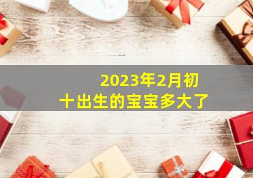 2023年2月初十出生的宝宝多大了