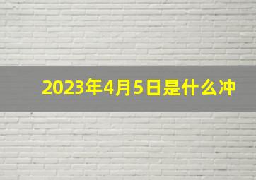 2023年4月5日是什么冲